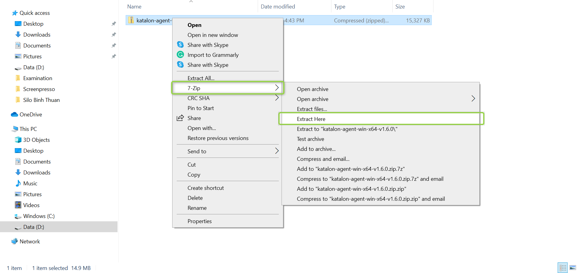 Unzip the Agent file within Windows